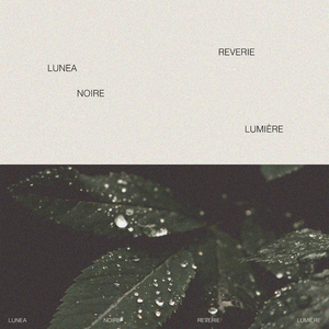 欲梦走光福利无删减在线视频
